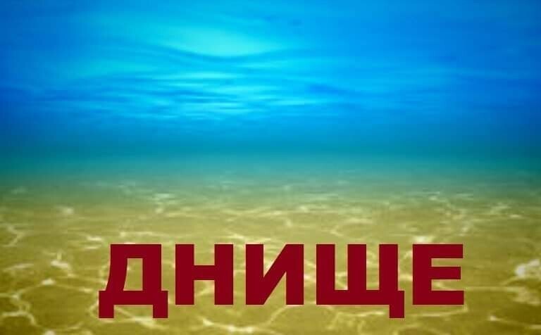 О политике и не только