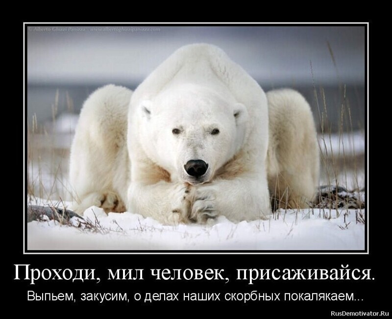 О политике и не только