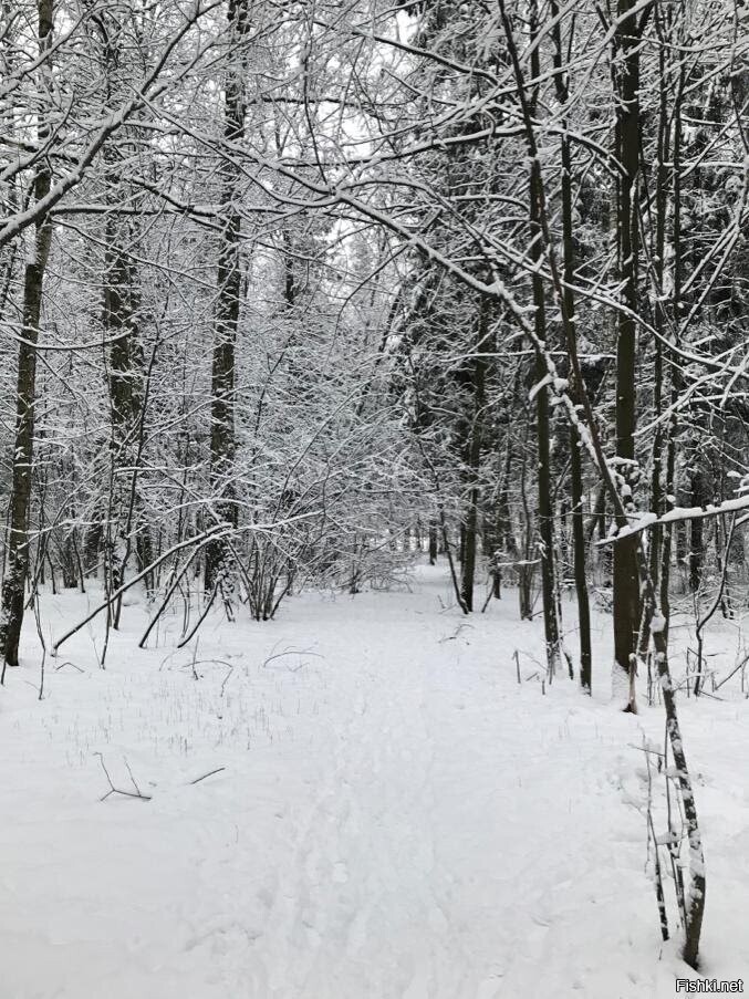 Солянка от 13.02.2021