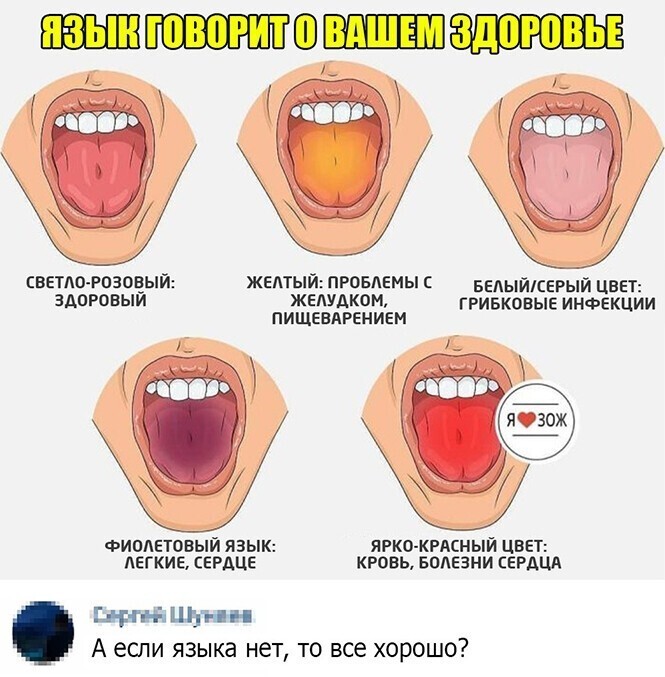 Смешные и познавательные картинки