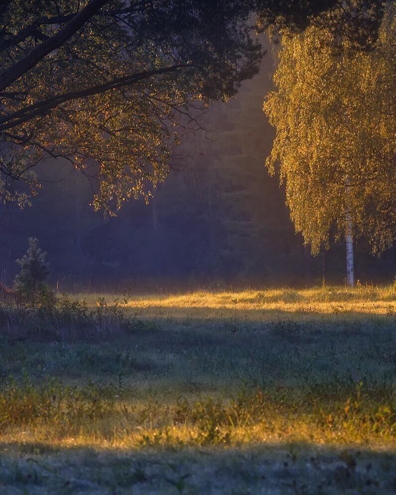 Фотограф Александр Пашеничев