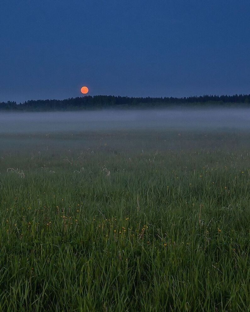 Фотограф Александр Пашеничев