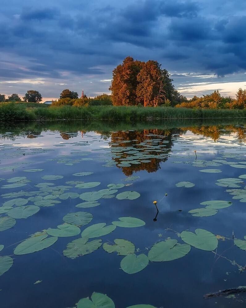 Фотограф Александр Пашеничев