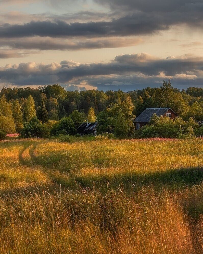 Фотограф Александр Пашеничев