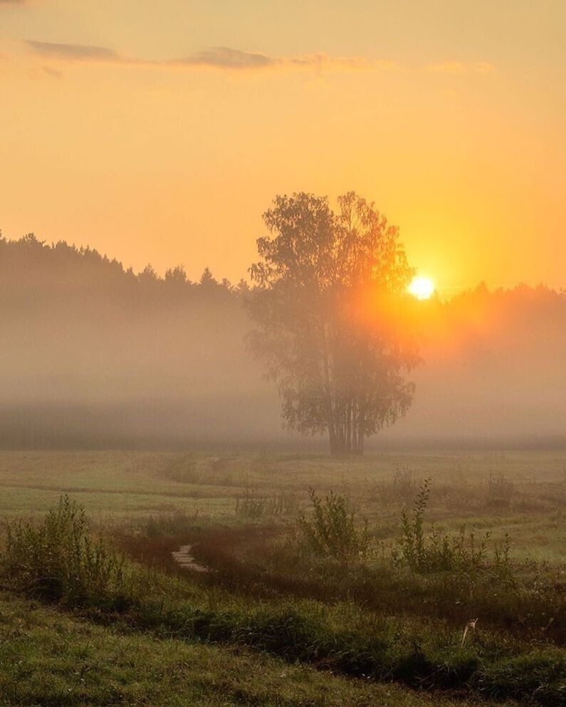 Фотограф Александр Пашеничев