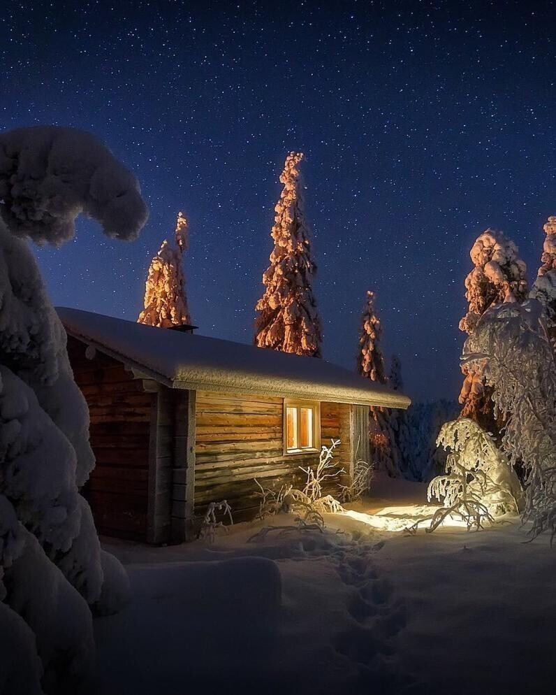 Фотограф Александр Пашеничев