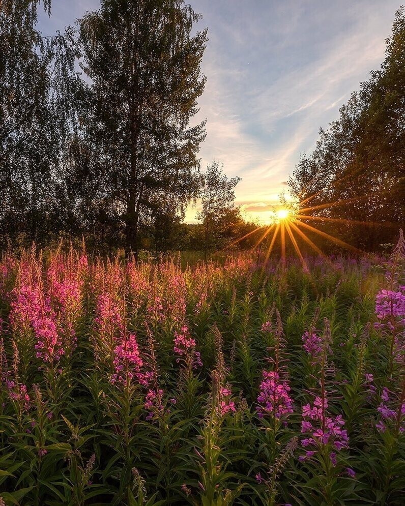 Фотограф Александр Пашеничев