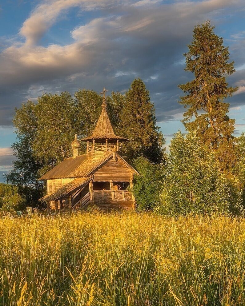 Фотограф Александр Пашеничев