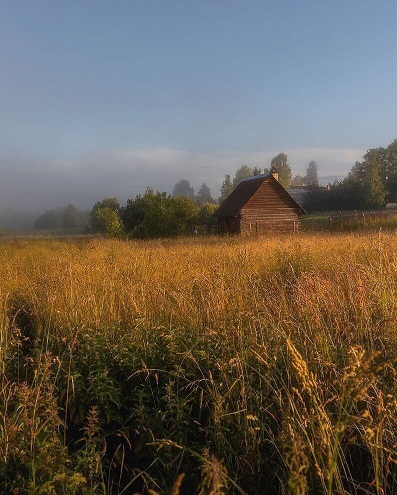 Фотограф Александр Пашеничев