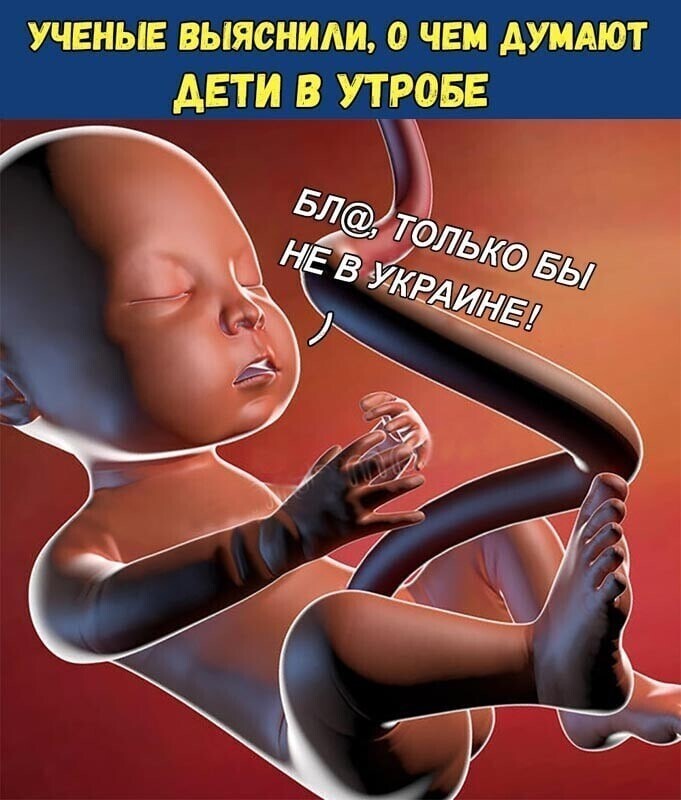 О политике и не только