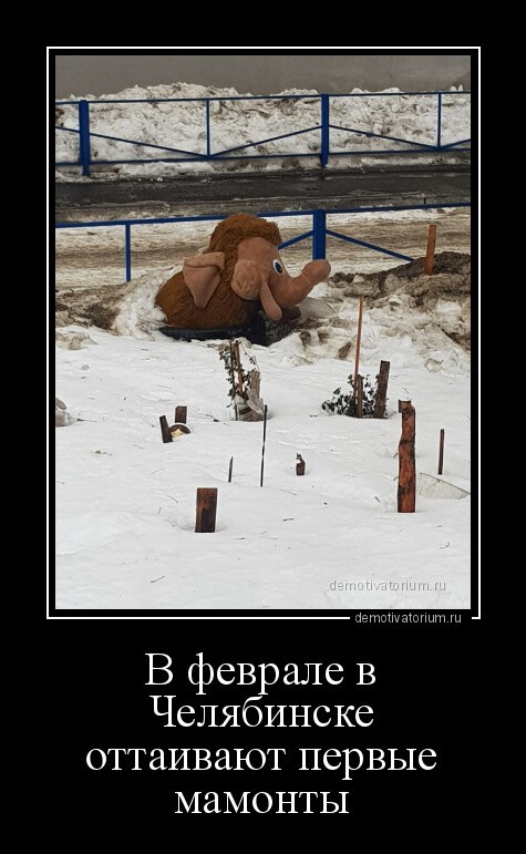 В феврале в Челябинске оттаивают первые мамонты