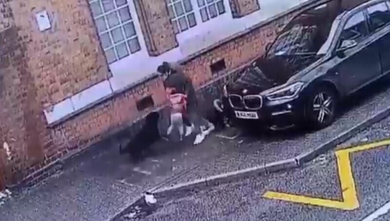 Момент нападения пса на маленьких девочек в Англии попал на видео