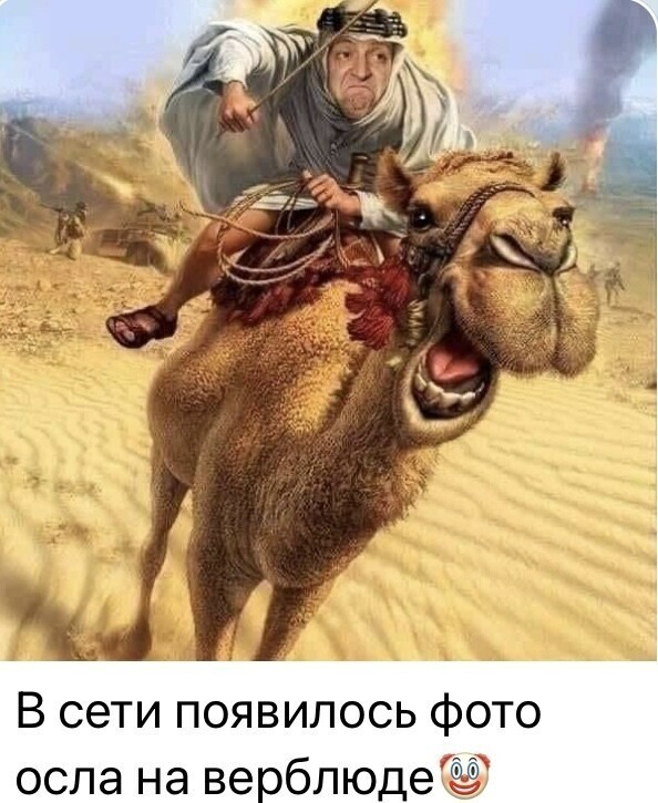 О политике и не только