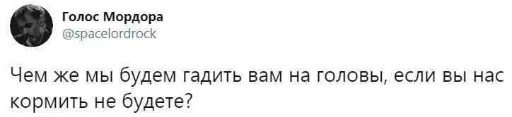 О политике и не только