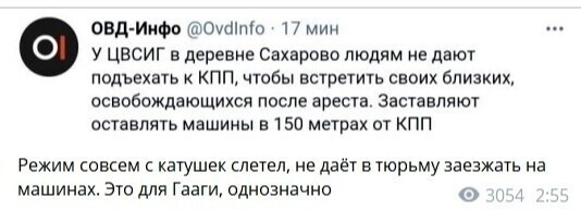 О политике и не только