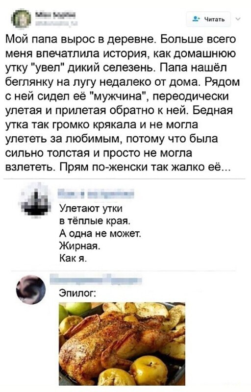 Смешные и познавательные картинки