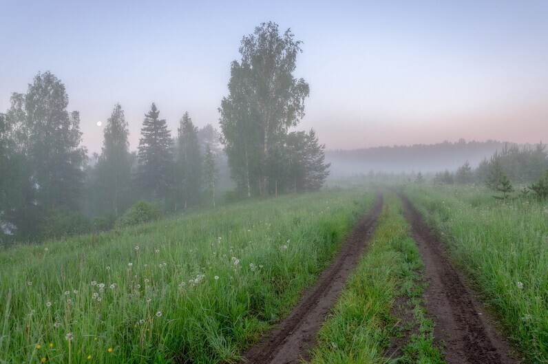 Фотограф Александр Архипкин