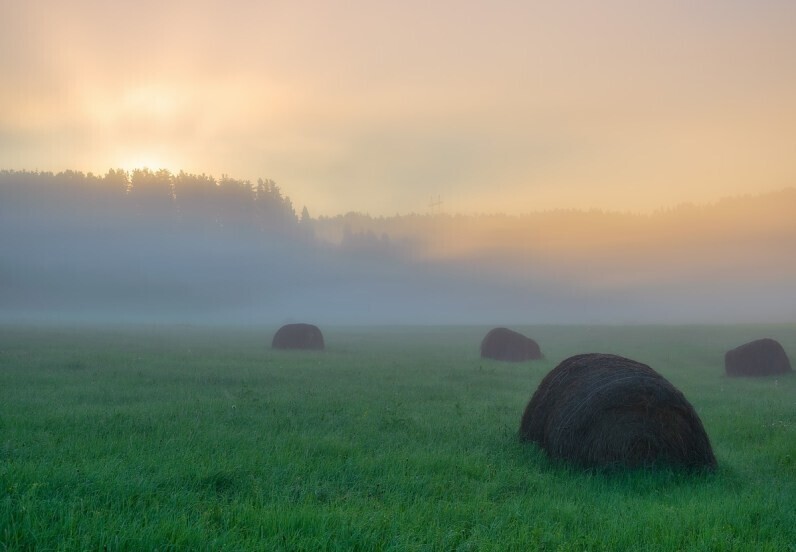 Фотограф Александр Архипкин