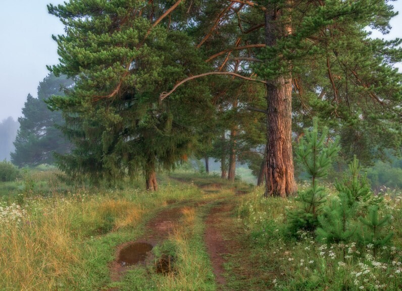 Фотограф Александр Архипкин