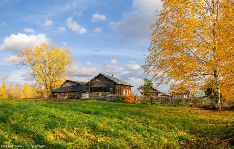 Фотограф Александр Архипкин