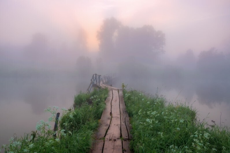 Фотограф Александр Архипкин