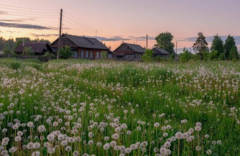 Фотограф Александр Архипкин