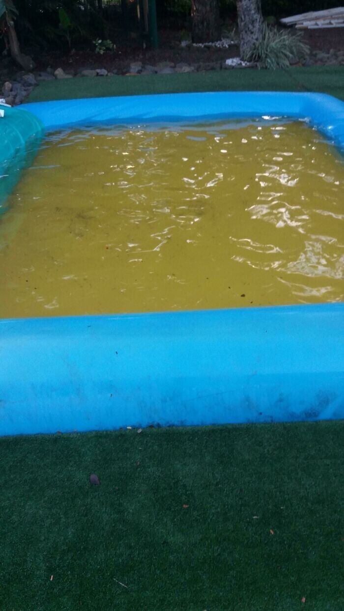 Просто у бассейна желтое дно, а вы что подумали?