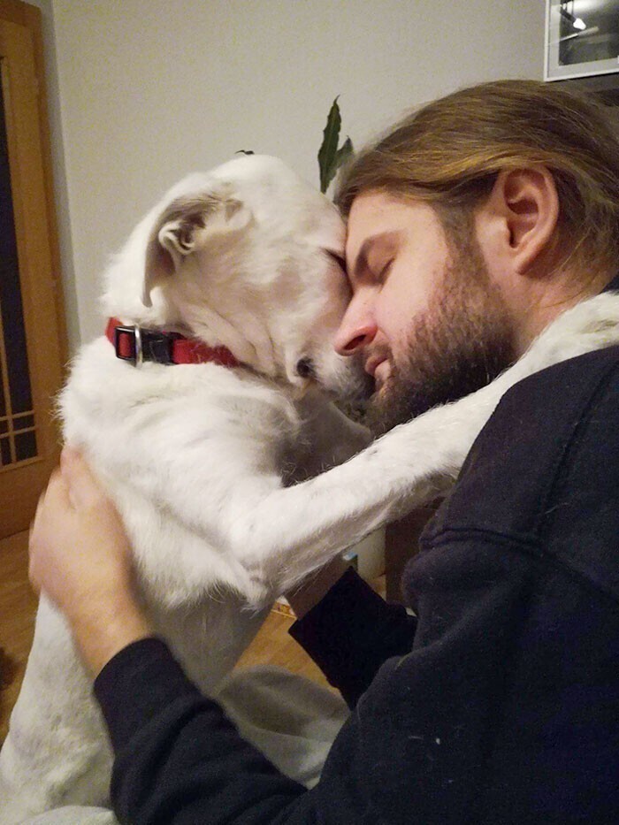 "Собака моей девушки и я. Кажется, это любовь"