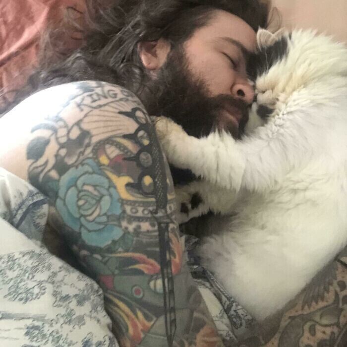"Кот моей девушки неожиданно влюбился в меня. Теперь мы просыпаемся так каждое утро"