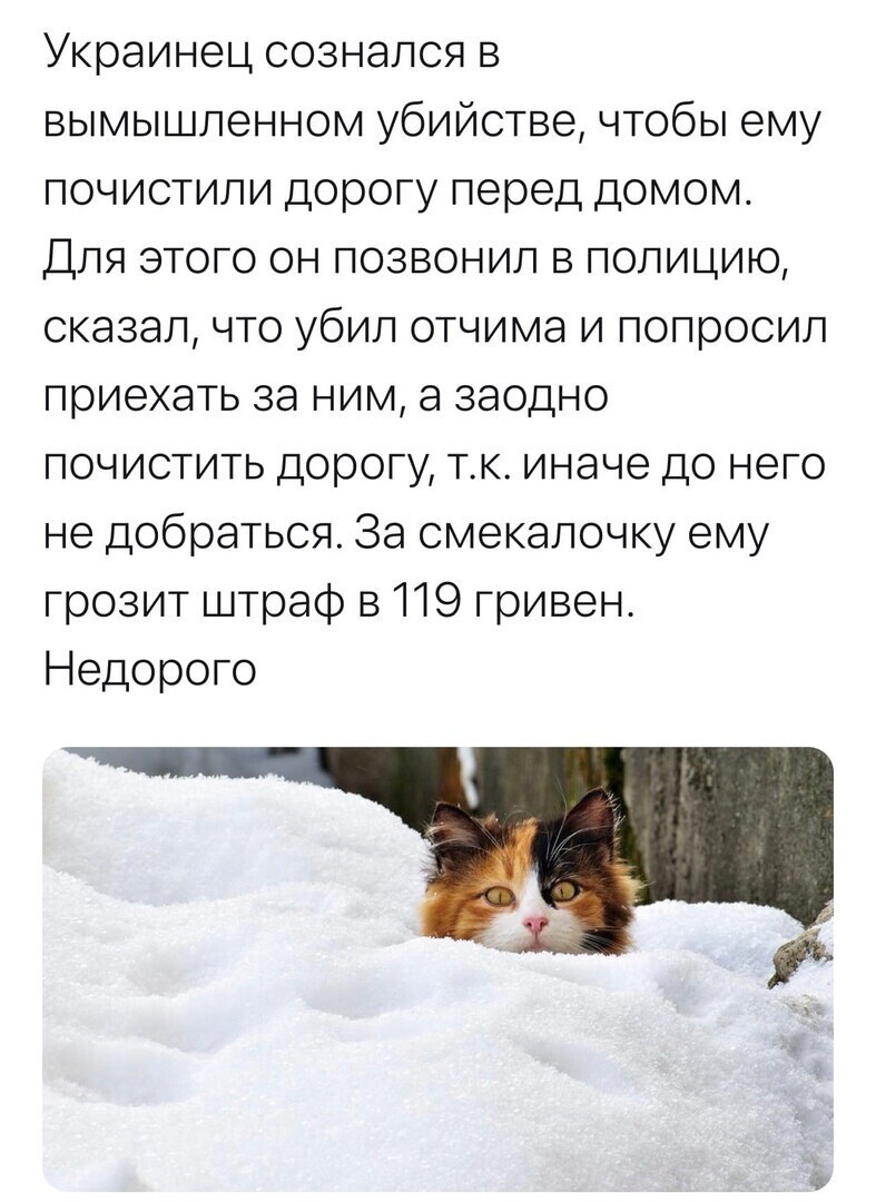 О политике и не только