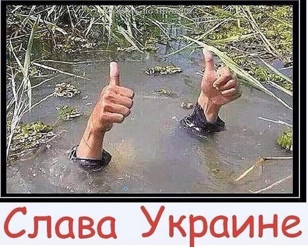 О политике и не только