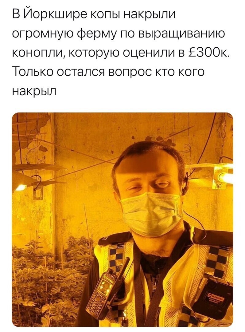 О политике и не только