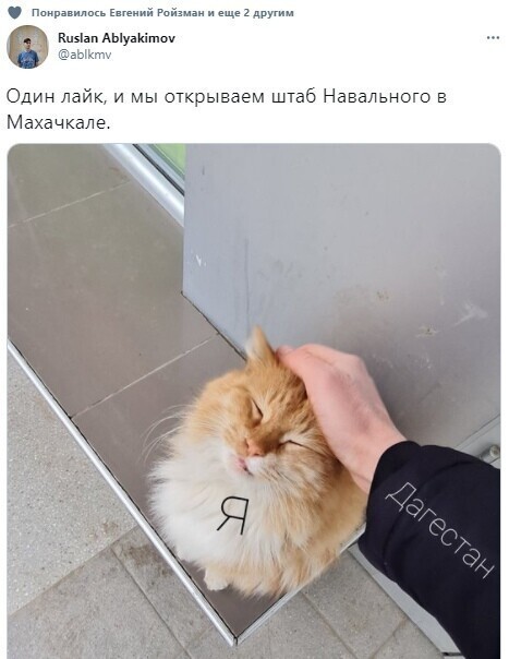 Дагестанские геи. Ну, не чокаясь.