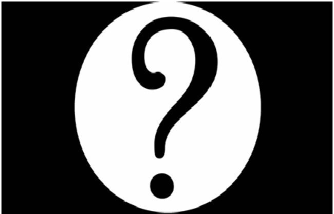 Светлое будущее или кот в мешке???