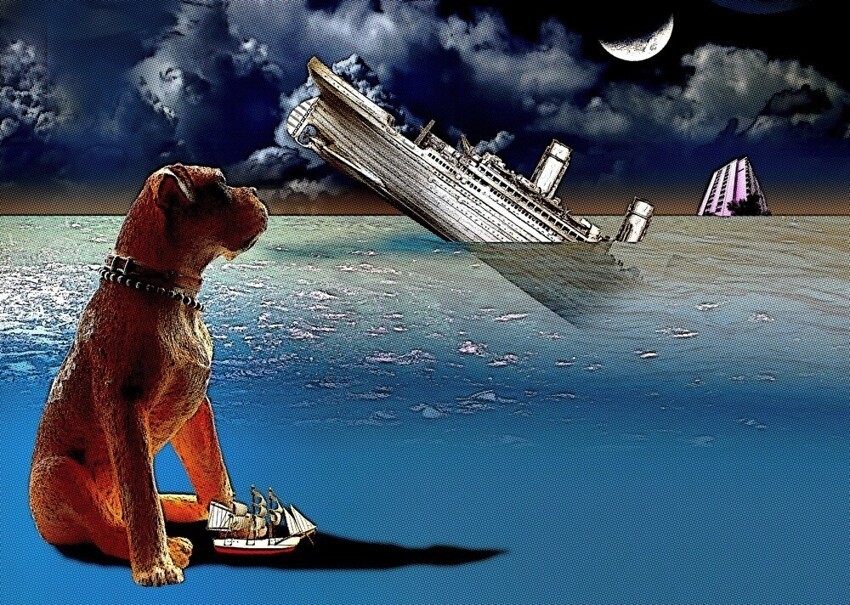 Из всех 12 собак, находившихся на борту злополучного "Титаника", трём удалось выжить
