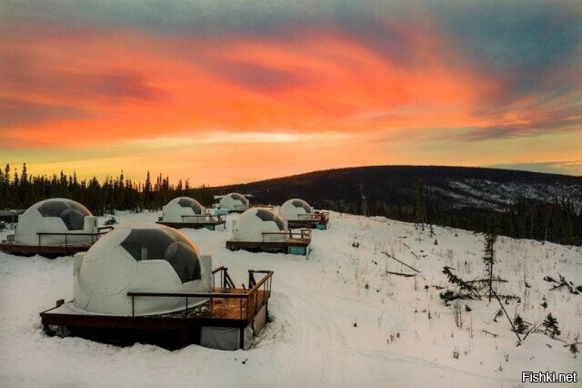 Комплекс Borealis Basecamp (Аляска)