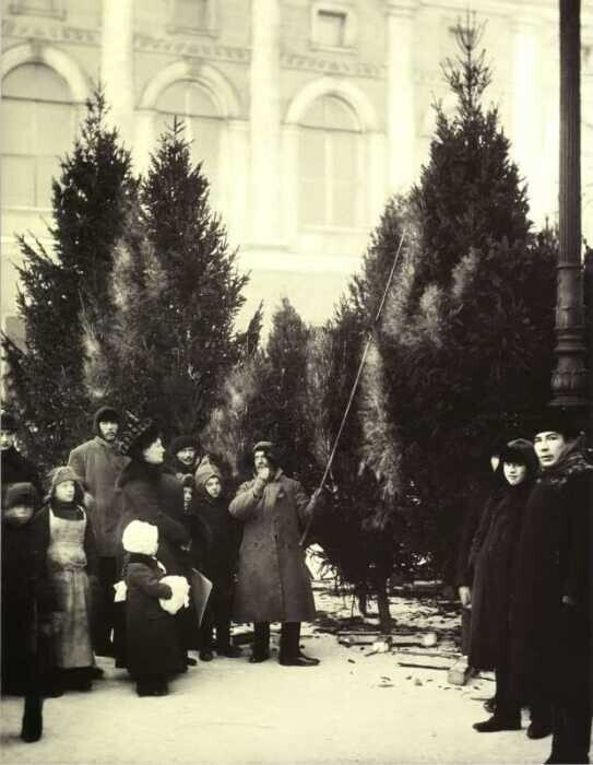 Торговля ёлками в Екатерининском саду. Россия, Санкт-Петербург, 1913 год
