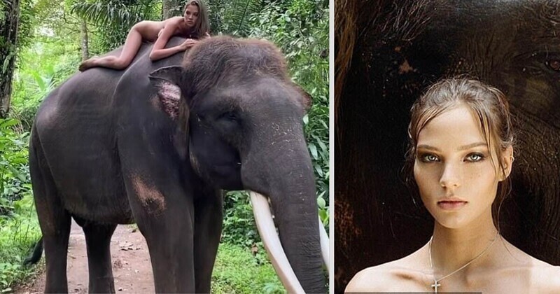 Алеся Кафельникова влезла голышом на редкого слона и разозлила соцсети