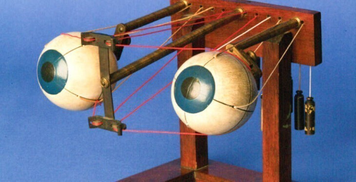 3. Офтальмотроп — прибор, наглядно демонстрирующий движения глаза и структуру всей зрительной системы человека