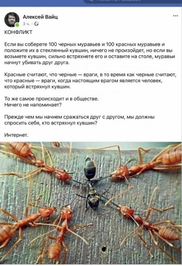О политике и не только