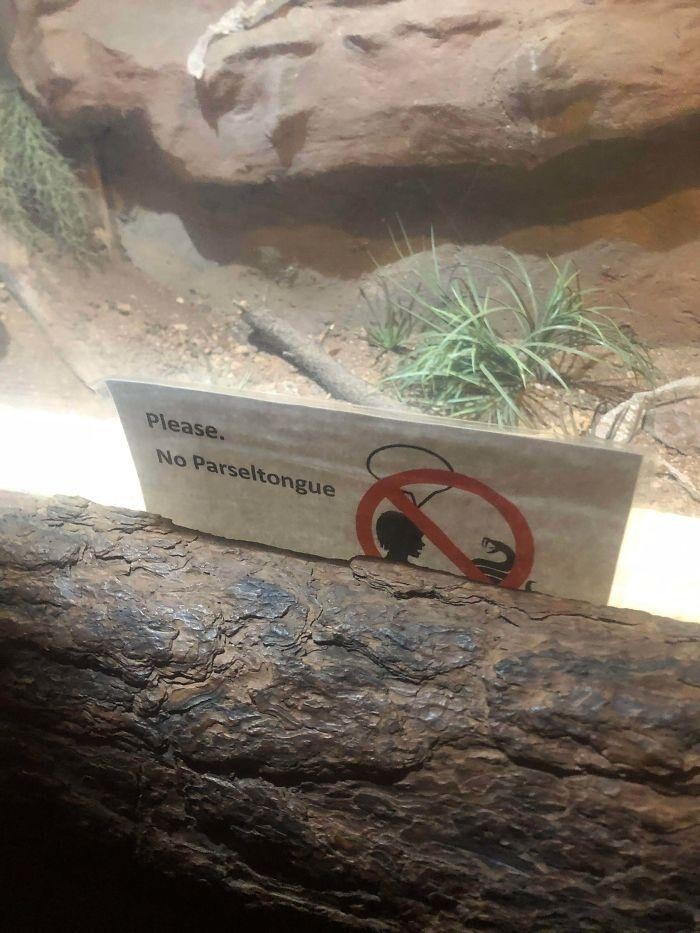 6. Выставка змей. Надпись: "Пожалуйста, не общайтесь на Парселтанге"