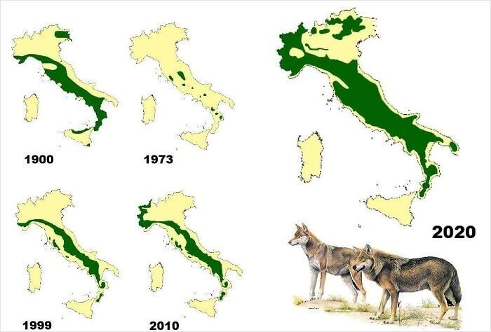 Распространение волков в Италии, 1900 - 2020 г.г.