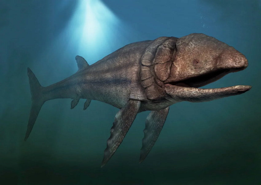 Лидсихтис: Вот она, рыба моей мечты! Доисторическая «селёдка», выраставшая в 16 метров длины!