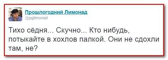 О политике и не только