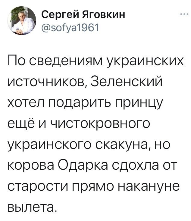 О политике и не только