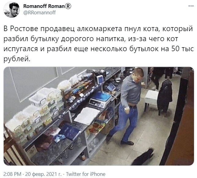 Не пинай котейку , ссссссука