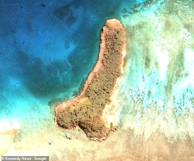 Пытливая исследовательница обнаружила остров, который понравился ей с первого взгляда