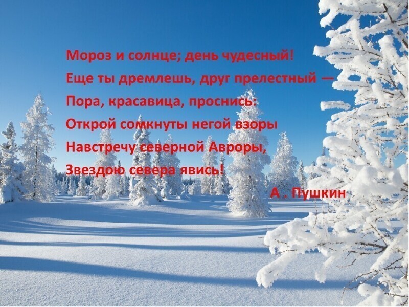 О политике и не только