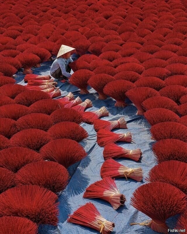 Сушка ароматических палочек в Ханое, Вьетнам