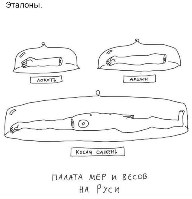 Смешные и познавательные картинки